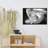 Infrared Rose Black and White Floral Nature Photo Framed Wall Art Print