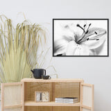 High Key Lily Black and White Floral Nature Photo Framed Wall Art Print