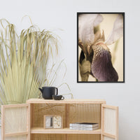 Japanese Iris Delight Aged Framed Photo Paper Wall Art Prints
