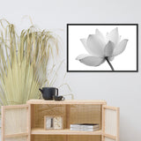 Lotus Flower Black and White Floral Nature Photo Framed Photo Paper Poster