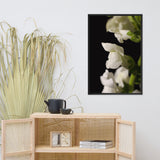 Single Snapdragon Bloom Floral Nature Photo Framed Wall Art Print