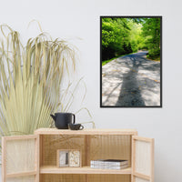 Summer Shadows Botanical Nature Photo Framed Wall Art Print