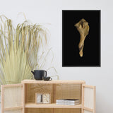 States of Erosion Image 3 Whelk Shell Coastal Nature Photo Framed Wall Art Print