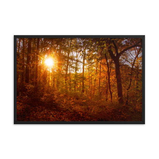 Autumn Sunset in the Trees Rural Landscape Framed Photo Paper Wall Art Prints