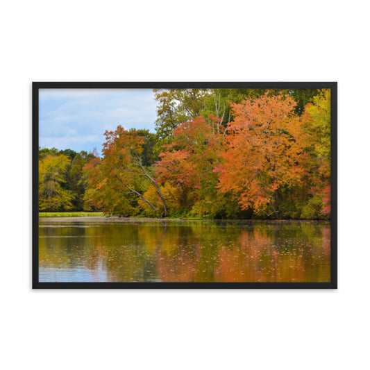 High Quality Wall Art: Autumn Tree Line - Rural / Country Style Landscape / Nature Photograph  Framed Wall Art Print - Wall Decor - Artwork