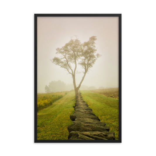 Calming Morning Rural Landscape Framed Photo Wall Art Prints