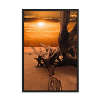 Dried Tree Roots and Sunrise Boneyard Beach Jacksonville Florida 2 Rustic Coastal Landscape Photo Framed Wall Art Print