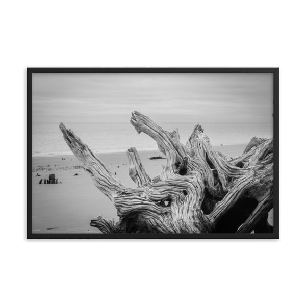 Driftwood on Boneyard Beach Florida 4 Black and White Coastal Landscape Photo Framed Wall Art Print