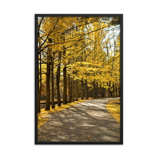 Fall Path Nature Landscape Framed Photo Paper Wall Art Prints