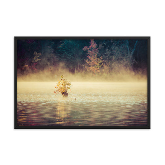 Golden Mist on Waples Pond Framed Photo Paper Wall Art Prints