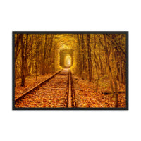 Ukraine Forest Railway Tunnel of Love Landscape Photo Framed Wall Art Print