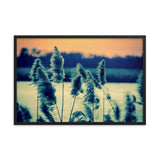 Sunset on the Marsh with Grasses Framed Photo Paper Wall Art Prints