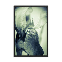 Abstract Japanese Iris Delight Floral Nature Photo Framed Wall Art Print