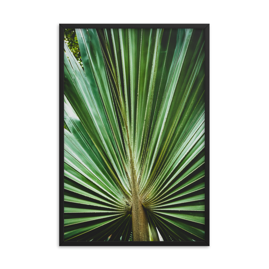 Dining Framed Art: Aged and Colorized Wide Palm Leaves 2 Tropical Botanical / Nature Photo Framed Wall Art Print - Artwork - Wall Decor