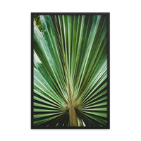 Aged and Colorized Wide Palm Leaves 2 Tropical Nature Photo Wall Art Print