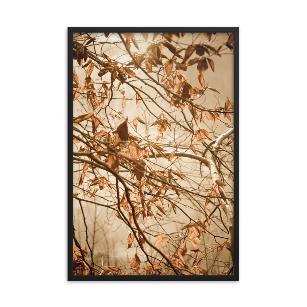 Aesthetic Prints For Wall: Aged Winter Leaves Botanical / Nature Photo Framed Wall Art Print - Artwork - Farmhouse Style Wall Decor
