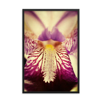 Antiqued Iris Floral Nature Photo Framed Wall Art Print
