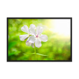 Beauty of the Forest Floor Floral Nature Photo Framed Wall Art Print