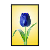 Blue Tulip Minimal Floral Nature Photo - For Ukraine Refugees Framed Wall Art Print
