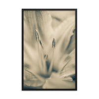 Calm Passions Floral Nature Photo Framed Wall Art Print