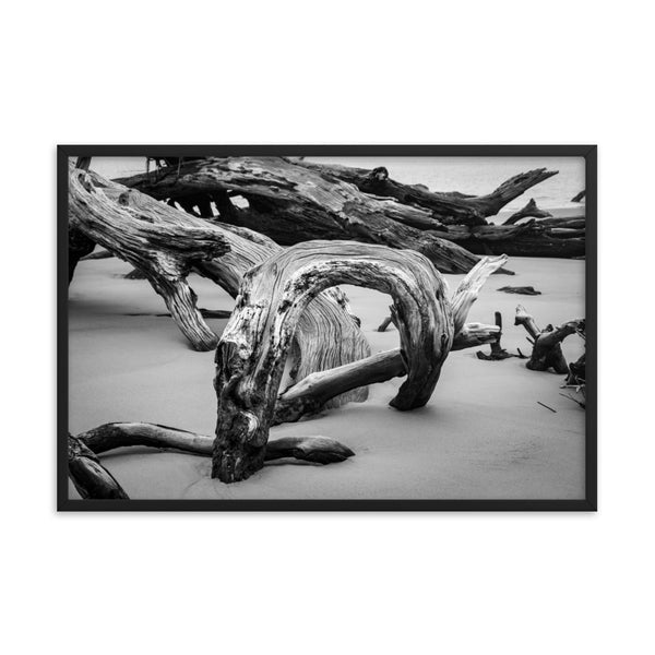 Dead Tree Boneyard Beach Florida 5 Black and White Rustic Landscape Photo Framed Wall Art Print