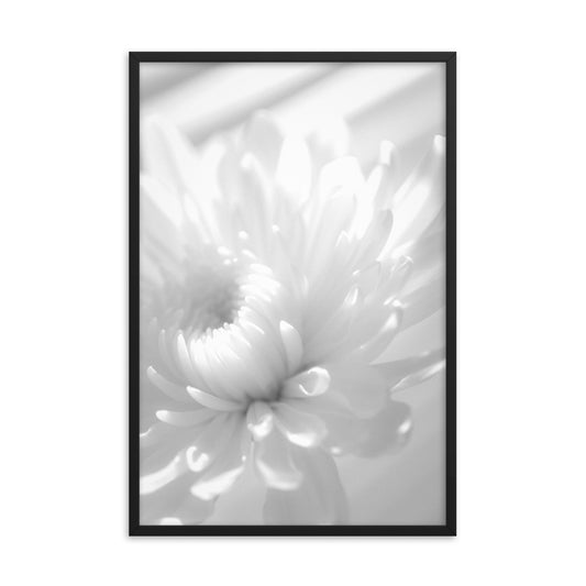 Infrared Flower Black and White Floral Nature Photo Framed Wall Art Print