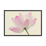 Lotus Flower Creamy Haze Effect Floral Nature Photo Framed Photo Paper Poster