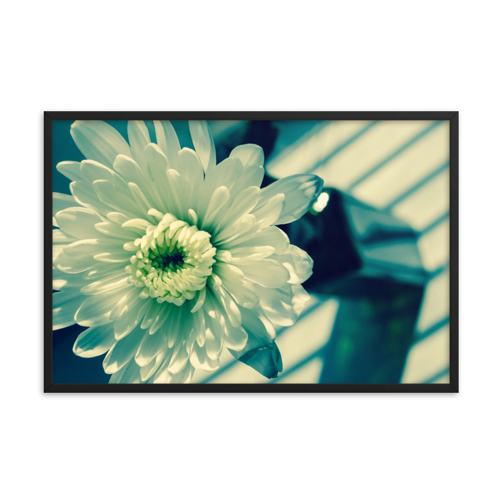 Melancholy Flower Floral Nature Photo Framed Wall Art Print