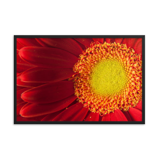 Nature's Beauty Floral Nature Photo Framed Wall Art Print