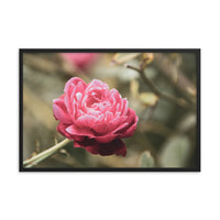 Perfect Petals Colorized Floral Nature Photo Framed Wall Art Print