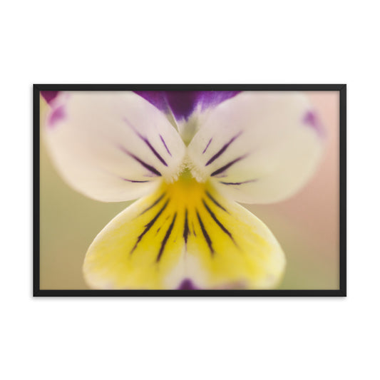 Oh Violet Floral Nature Photo Framed Wall Art Print