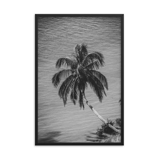 Palm Over Water Black and White Botanical Nature Photo Framed Wall Art Print