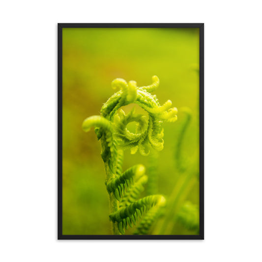 Nature's Perfection Botanical Nature Photo Framed Wall Art Print