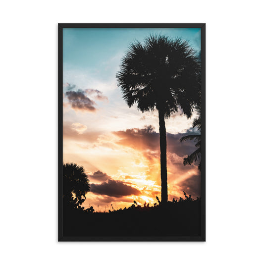 Palm Tree Silhouettes and Sunset Botanical Nature Photo Framed Wall Art Print