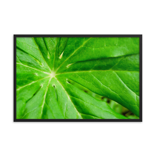 Peaceful Greenery Botanical Nature Photo Framed Wall Art Print