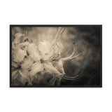 Sepia Aged Rhododendron Blooms Floral Nature Photo Framed Wall Art Print