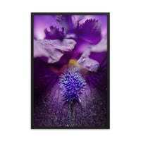 Stigma of Iris Floral Nature Photo Framed Wall Art Print
