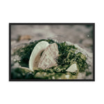Seaweed and Shells Coastal Nature Photo Framed Wall Art Print
