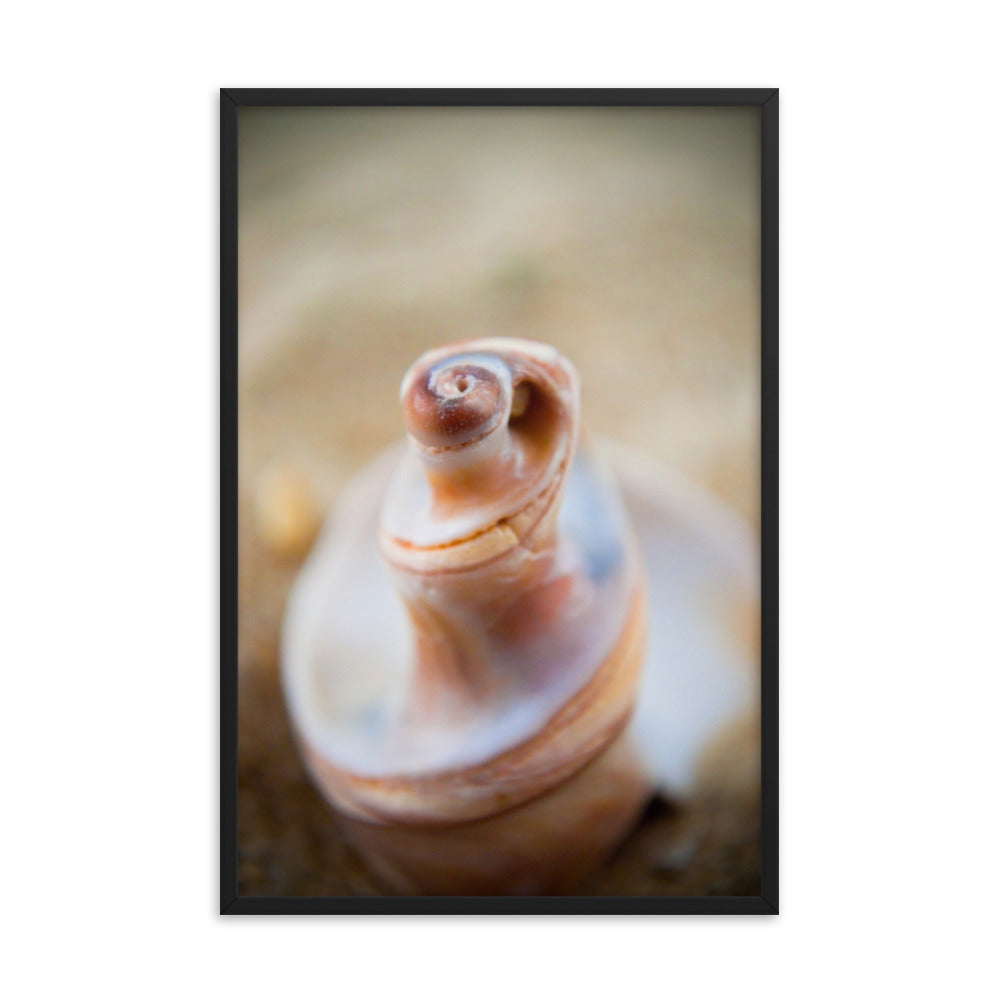 Smooth Erosion Coastal Nature Photo Framed Wall Art Print