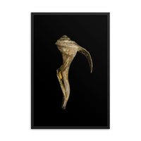 States of Erosion Image 4 Whelk Shell Coastal Nature Photo Framed Wall Art Print