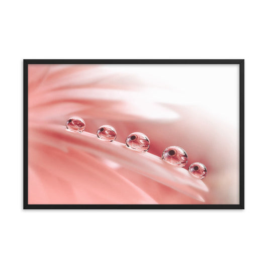 Soothing Wall Art For Bedroom: Dew Drops on Gerbera Daisy Petals Floral Botanical Photograph Shabby Chic - Vintage Framed Wall Art Print