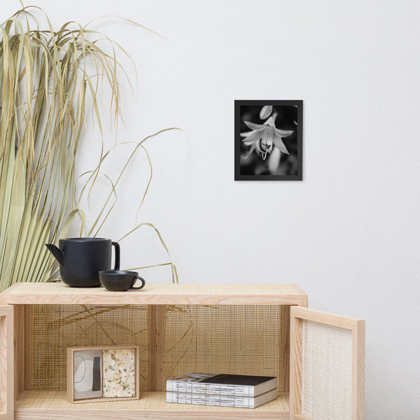 Hosta Bloom Black and White Floral Nature Photo Framed Wall Art Print