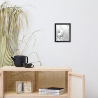 Infrared Flower Black and White Floral Nature Photo Framed Wall Art Print