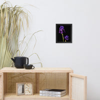 Iris on Black Floral Nature Photo Framed Wall Art Print