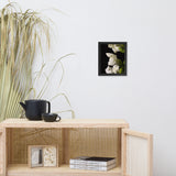 Single Snapdragon Bloom Floral Nature Photo Framed Wall Art Print