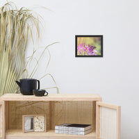 Spider Flower in Glory Light With Spotted Moth Floral Nature Photo Framed Wall Art Print