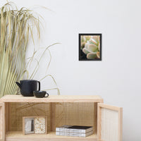 Succulent 4 Botanical Nature Photo Framed Wall Art Print