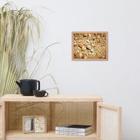Broken Seashells and Sand Coastal Nature Photo Framed Wall Art Print