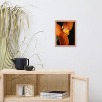 Orange Canna at Longwood Gardens Floral Nature Photo Framed Wall Art Print