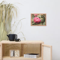 Perfect Petals Colorized Floral Nature Photo Framed Wall Art Print